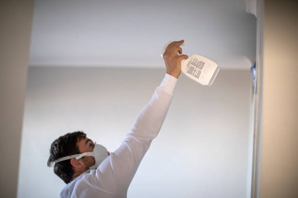 Best Black Mold Removal  in North Syracuse, NY