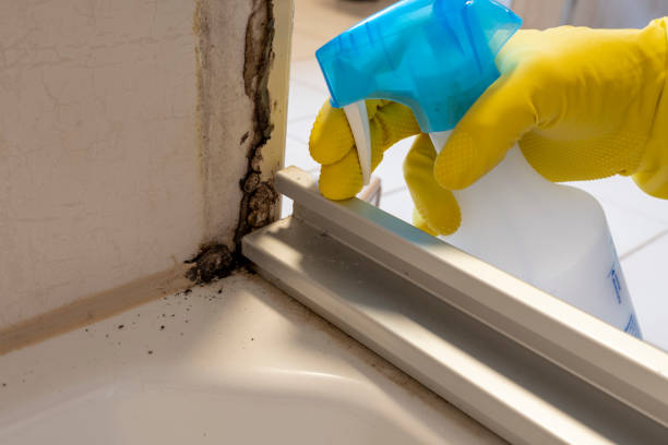 Best Residential Mold Removal  in North Syracuse, NY