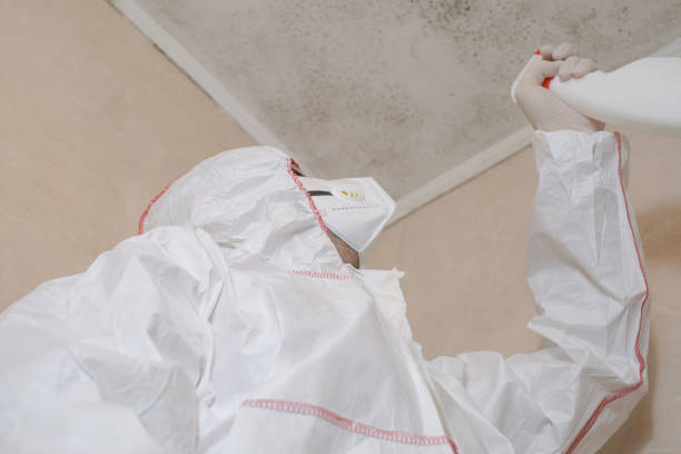 Best Certified Mold Removal  in North Syracuse, NY